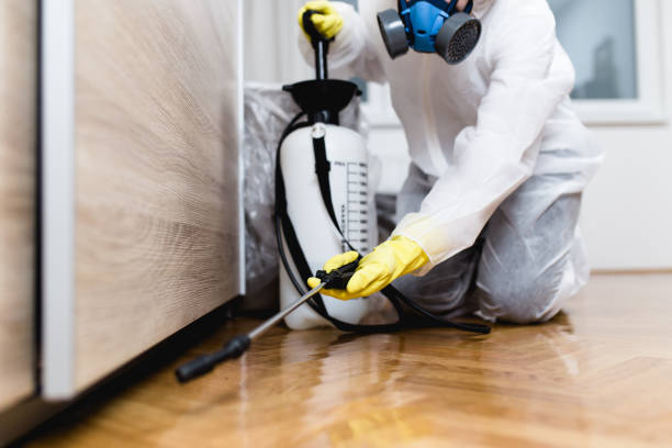 Best Wildlife Control Services  in Washington Park, IL
