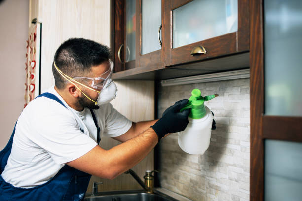 Pest Control for Restaurants in Washington Park, IL