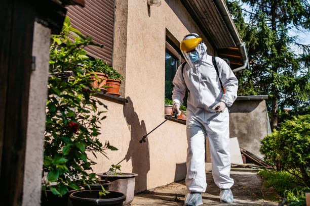 Best Emergency Pest Control  in Washington Park, IL
