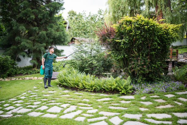Professional Pest Control in Washington Park, IL