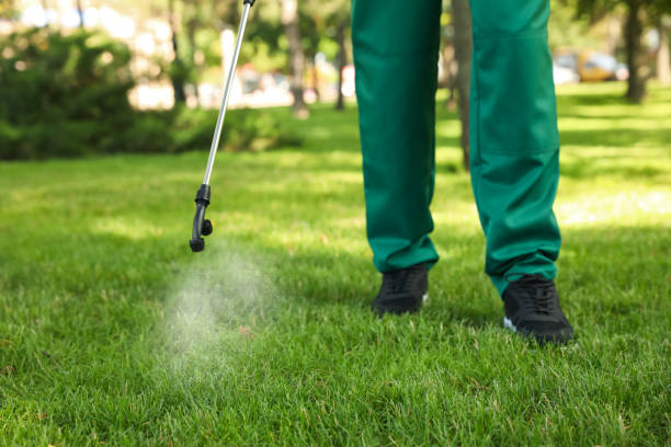 Best Flea Control Services  in Washington Park, IL