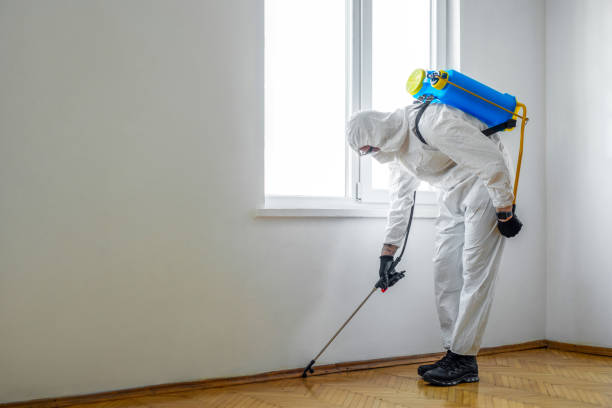 Best Best Pest Control Companies  in Washington Park, IL